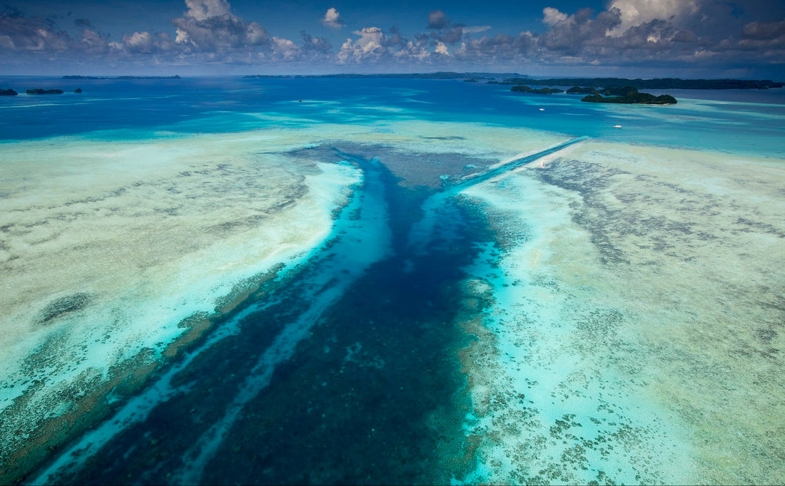 Top or Best Influencer Brand Partnership Agencies and Companies in Micronesia