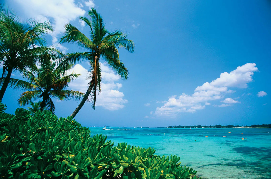 Top Invitation Design Agencies in the Bahamas