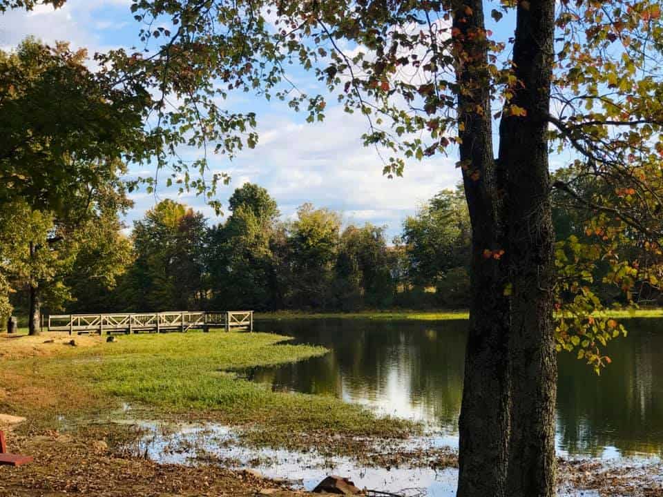 Top or Best Brand Identity Package Agencies and Companies in Jacksonville, Arkansas