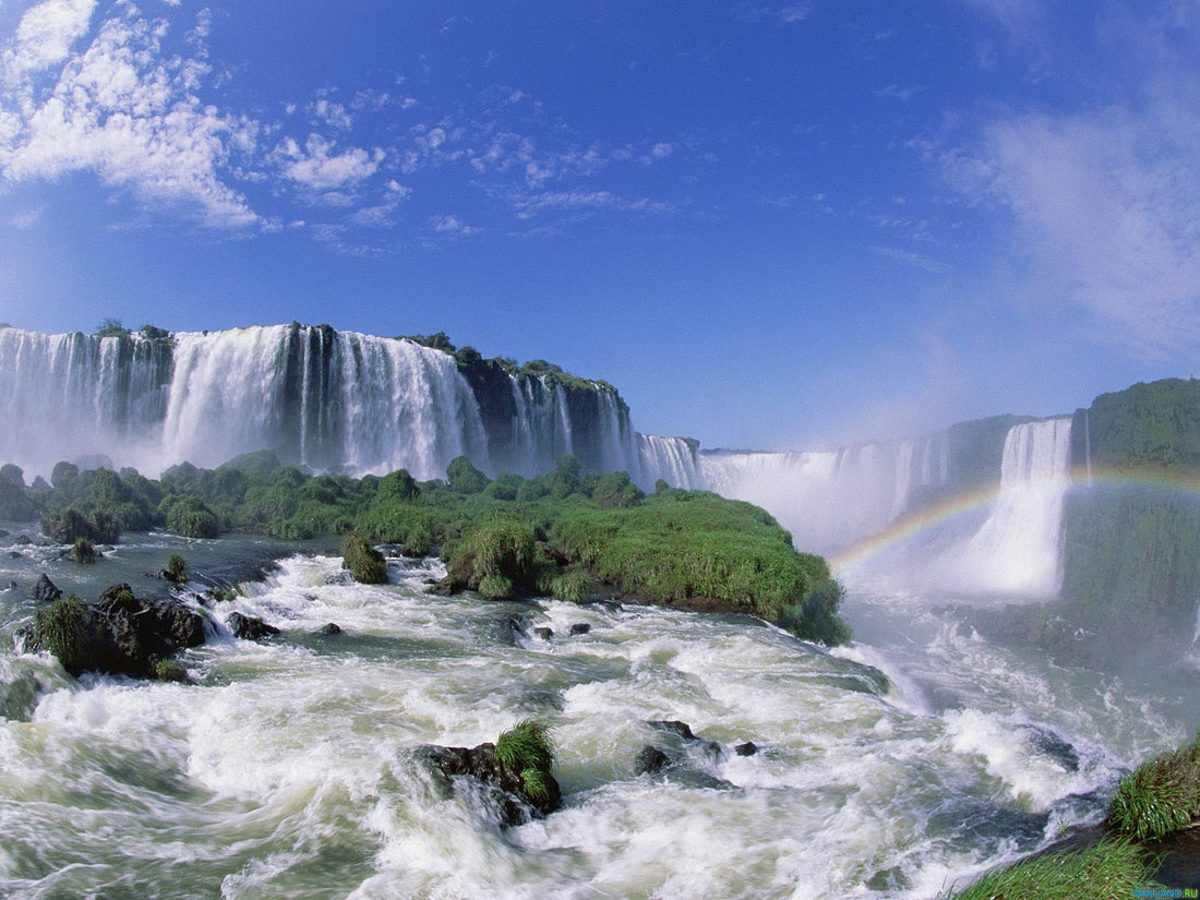 Top 5 Tattoo Design Agencies in Paraguay