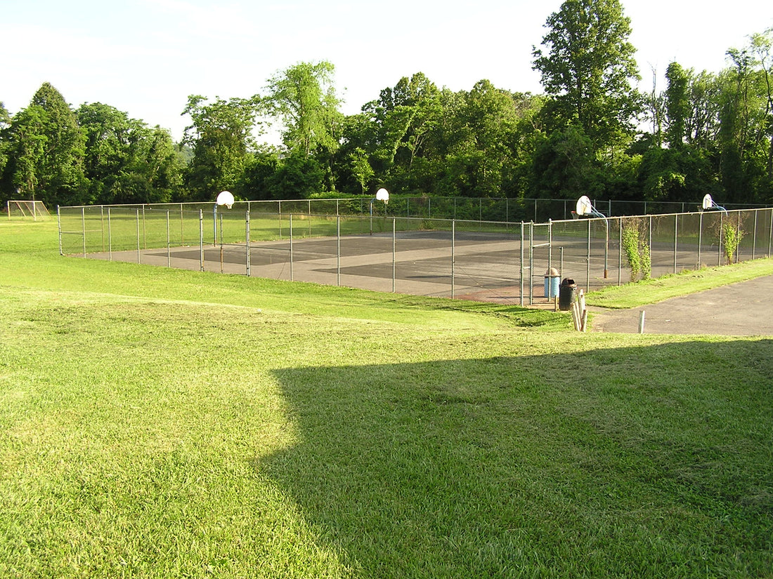 Top or Best Website Design Agencies and Companies in Fairmont, West Virginia