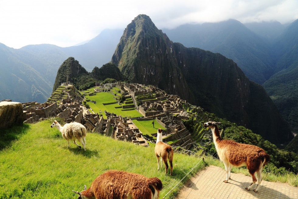 Top Catalog Design Agencies in Peru