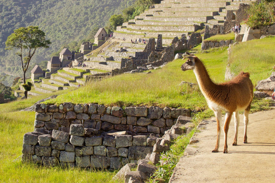 Top AR Filters and Lenses Agencies in Peru