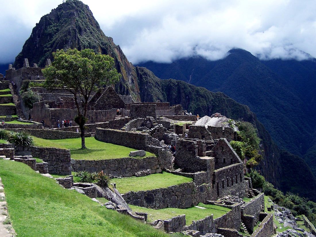 Top Website Design Agencies in Peru