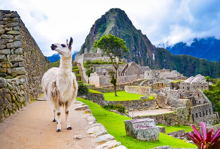 Top NFT Art Agencies in Peru