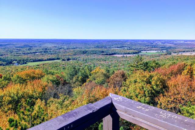 Top or Best Poster Design Agencies and Companies in Wausau, Wisconsin