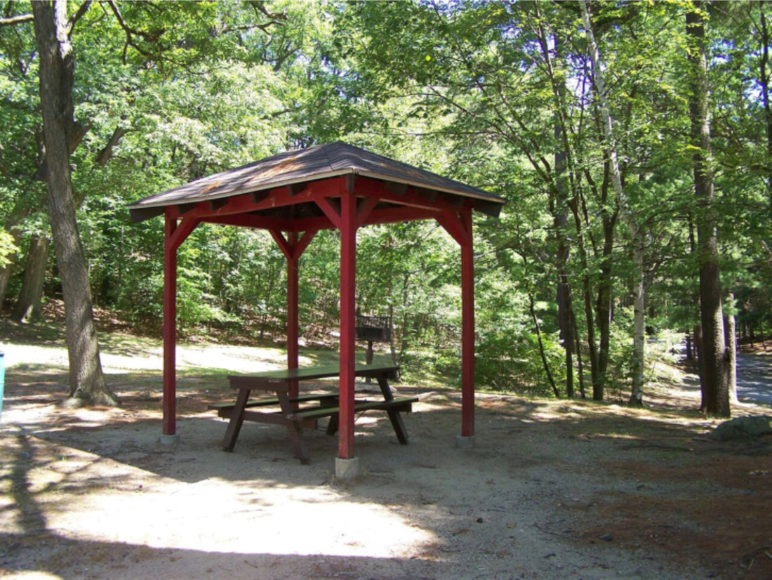 Top or Best Snapchat Management Agencies and Companies in Malden, Massachusetts