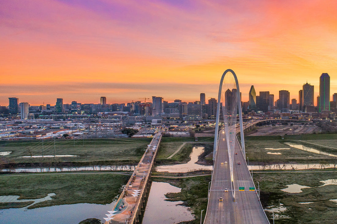 Top or Best TikTok Management Agencies and Companies in Plano, Texas