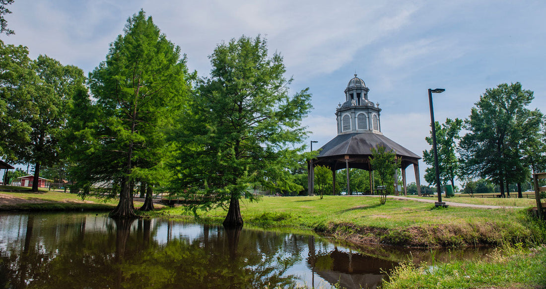 Top or Best Infographics Design Agencies and Companies in Texarkana, Arkansas