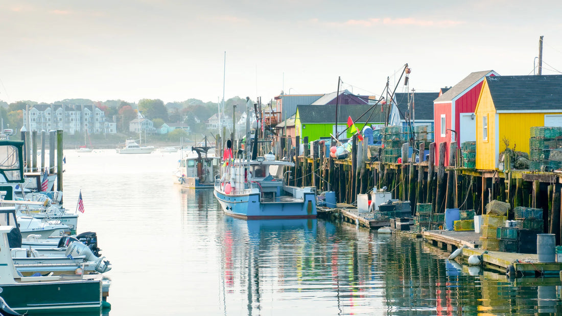 Top or Best AR Filters and Lenses Design Agencies and Companies in Portland, Maine