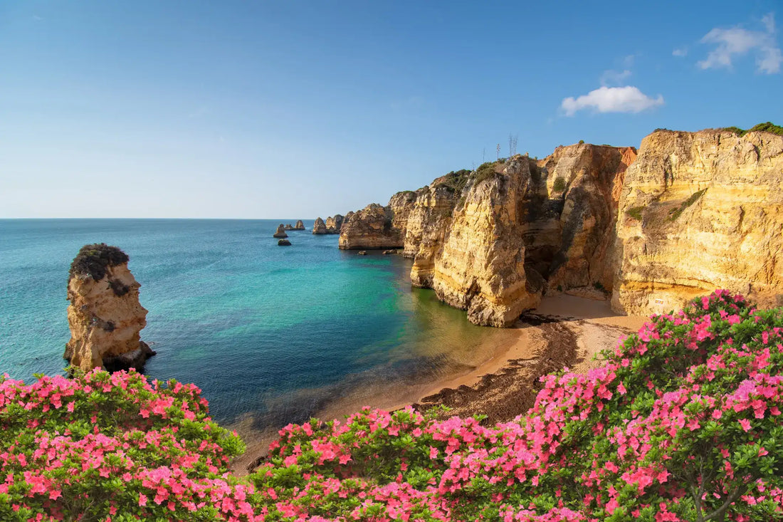 Top or Best Talent Management Agencies and Companies in Portugal