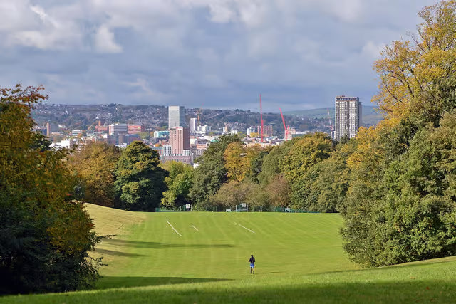 Top or Best TikTok Management Agencies and Companies in Sheffield, England