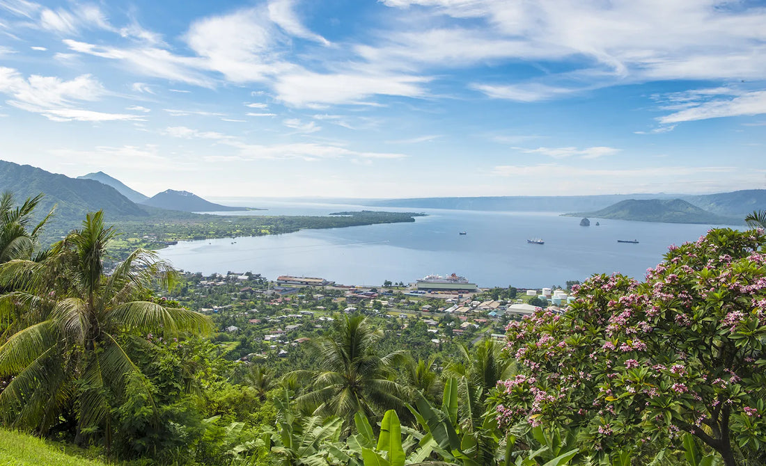 Top 5 Invitation Design Agencies in Papua New Guinea