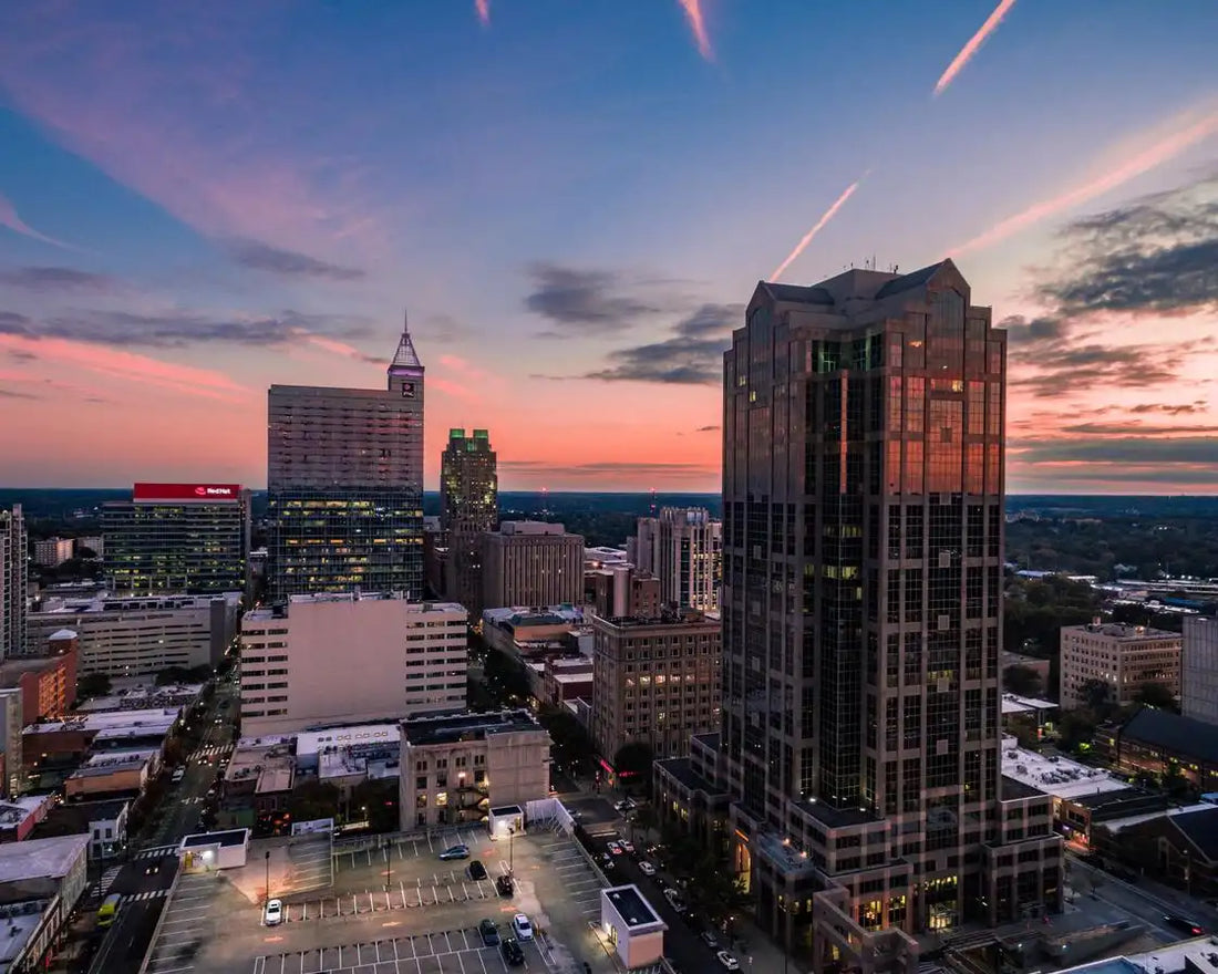 Top or Best Infographic Design Agencies and Companies in Raleigh, North Carolina
