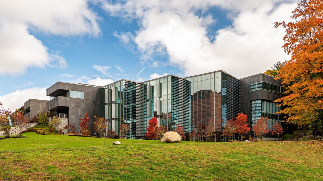Top or Best Photo Editing Agencies and Companies in Ramapo, New York