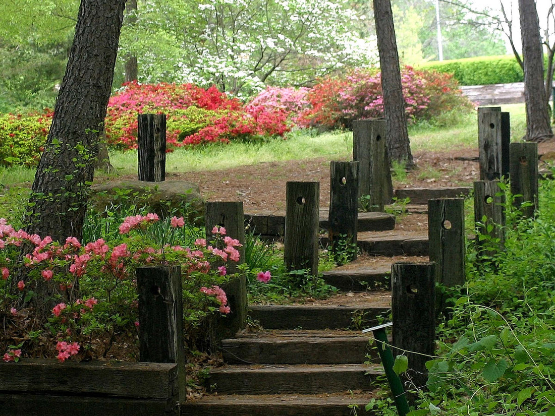 Top or Best Photo Editing Agencies and Companies in Broken Arrow, Oklahoma