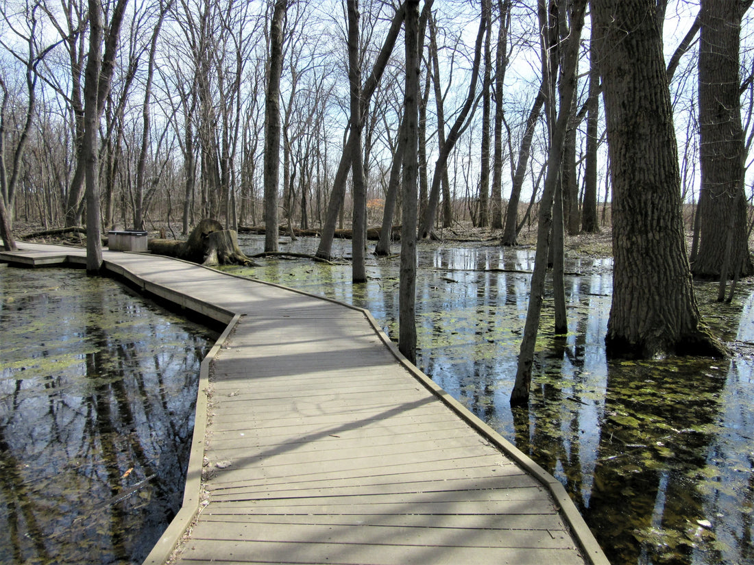 Top or Best LinkedIn Management Agencies and Companies in Hammond, Indiana