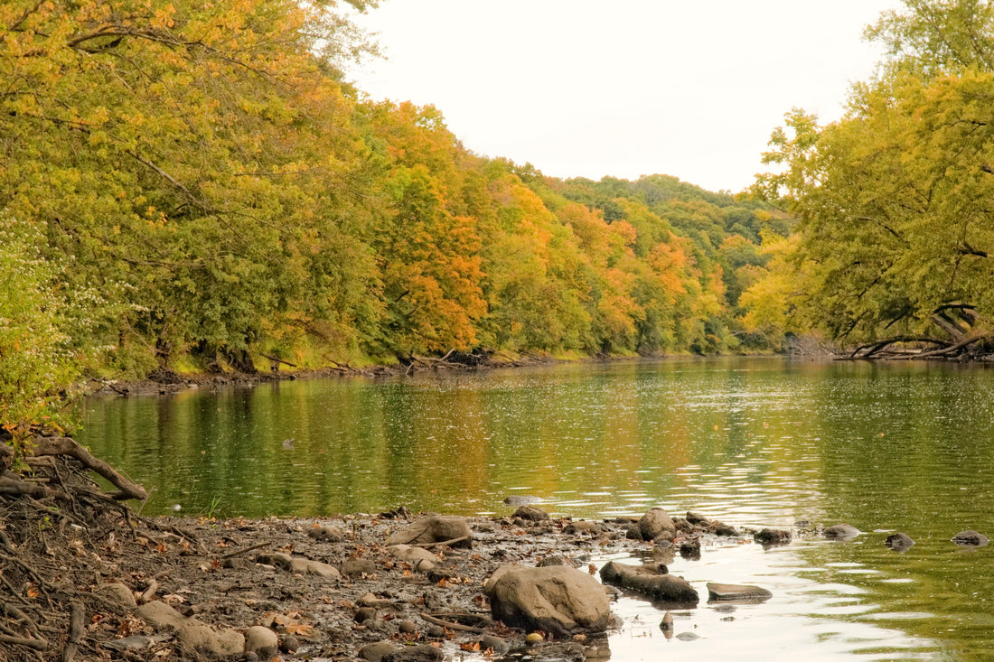 Top or Best Storyboard Agencies and Companies in Rockford, Illinois