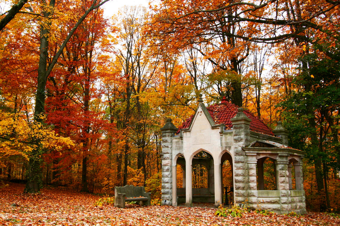 Top or Best LinkedIn Management Agencies and Companies in Bloomington, Indiana