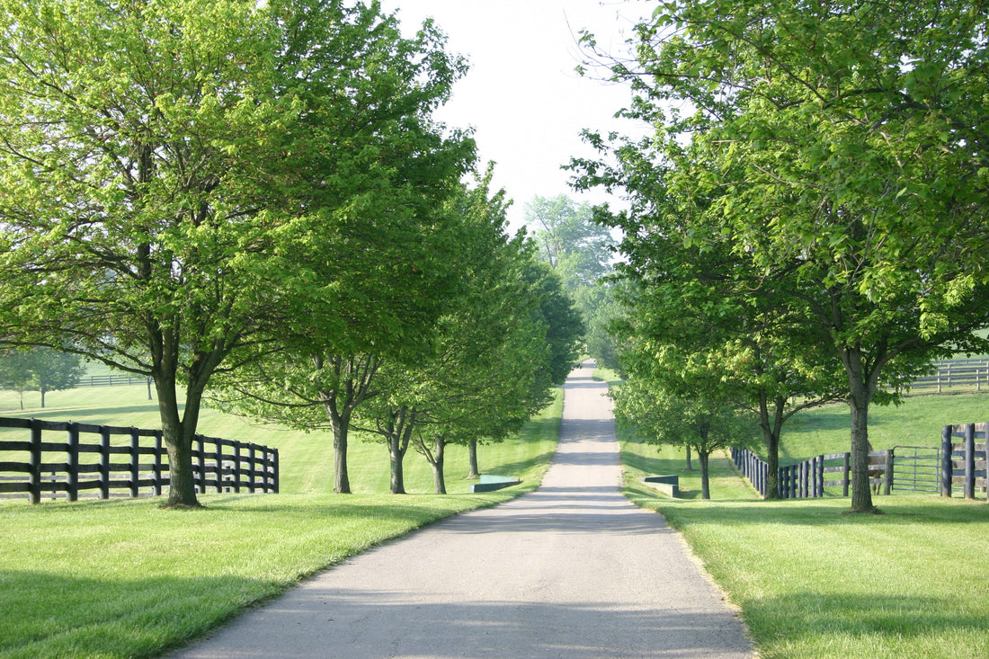 Top or Best Website Design Agencies and Companies in Radcliff, Kentucky