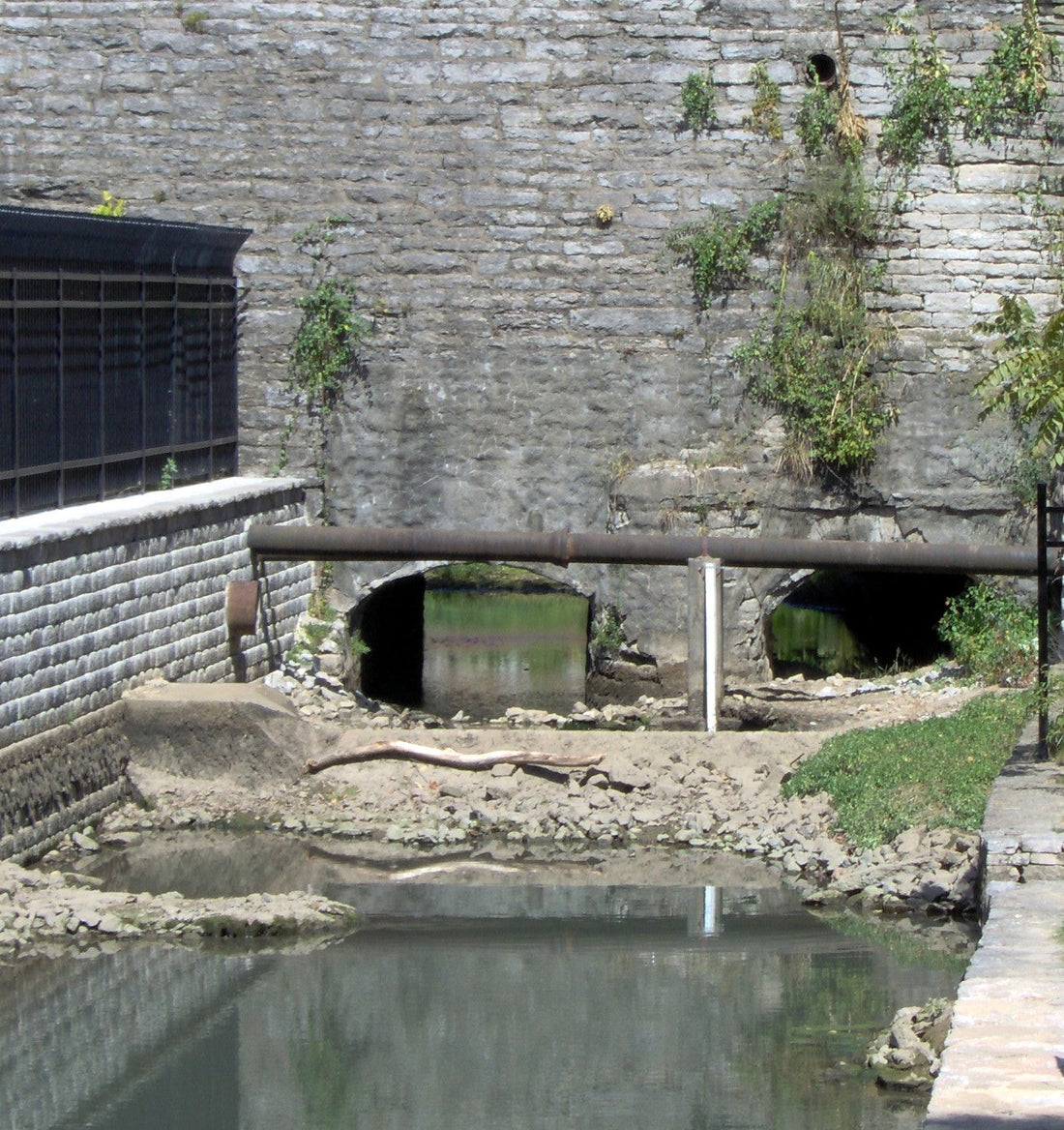 Top or Best Drawing and Illustration Agencies and Companies in Georgetown, Kentucky