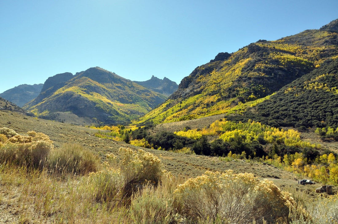 Best or Top Graphic Design Subscription Agencies and Companies in Enterprise, Nevada