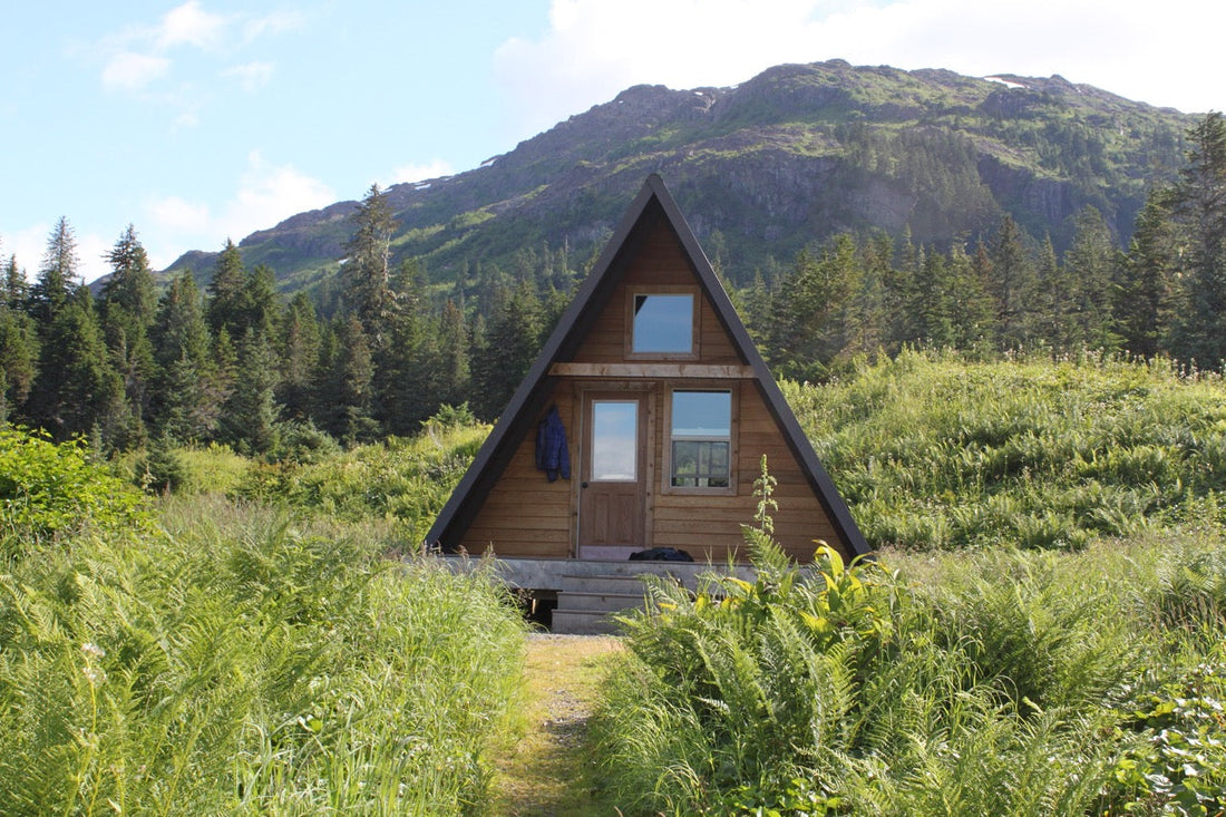 Top or Best Brochure Design Agencies and Companies in Meadow Lakes, Alaska