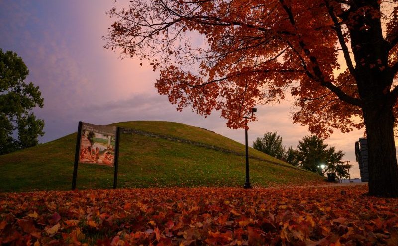 Top or Best TikTok Management Agencies and Companies in South Charleston, West Virginia