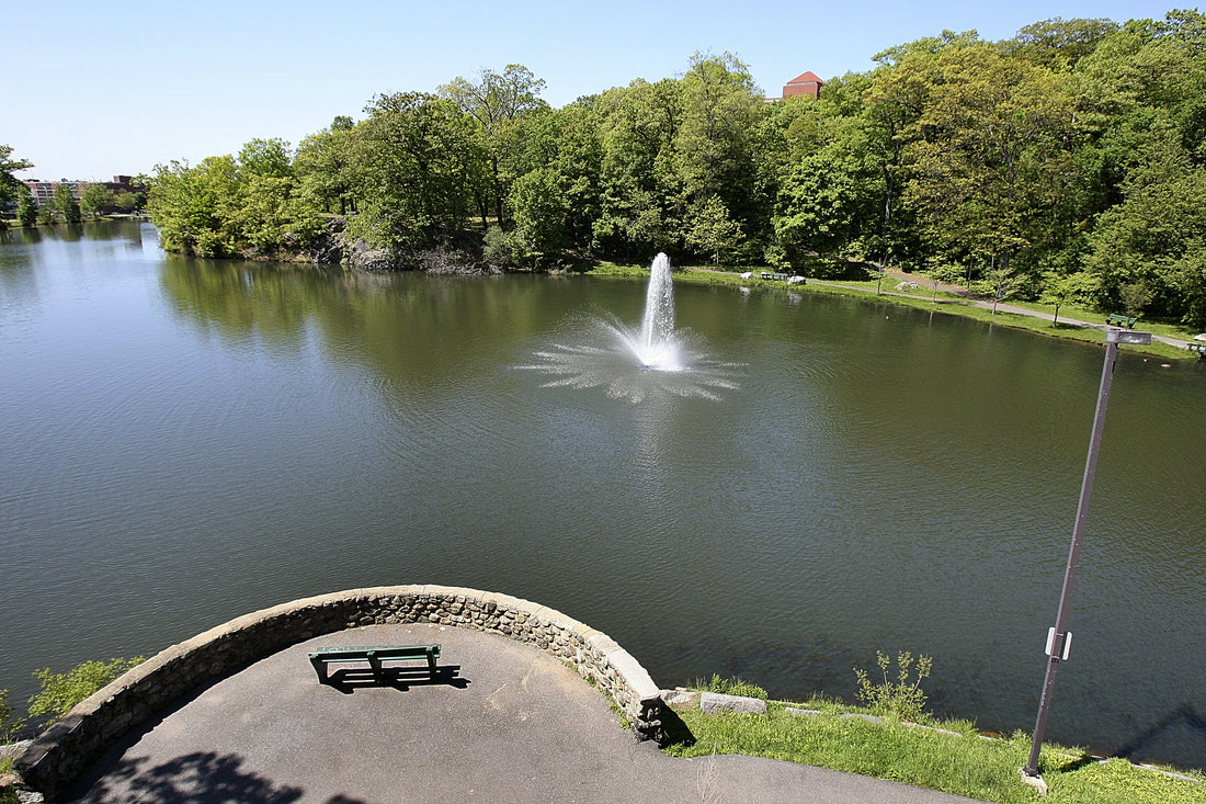 Top or Best Storyboards Agencies and Companies in Malden, Massachusetts