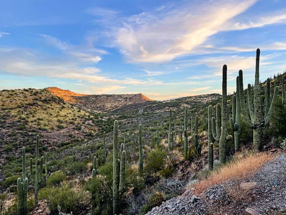 Top or Best AR Filters and Lenses Agencies and Companies in Phoenix, Arizona