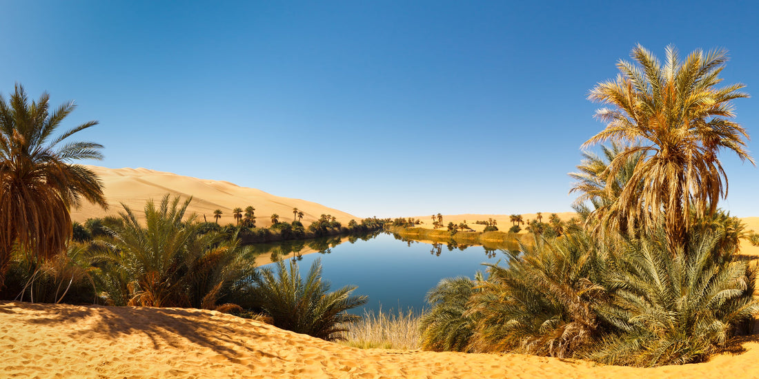 Top 5 Animation and Motion Graphic Design Agencies in Libya