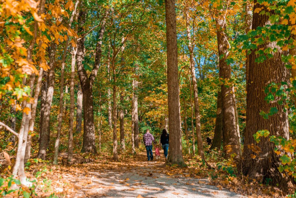 Top or Best X (Twitter) Management Agencies and Companies in Elizabethtown, Kentucky