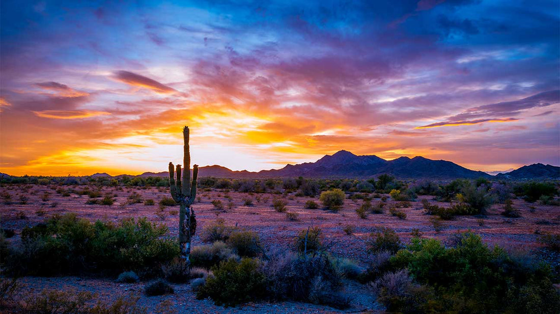 Top or Best Brand Identity Package Agencies and Companies in San Tan Valley, Arizona