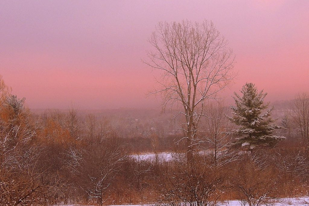 Top or Best Animation & Motion Graphics Agencies and Companies in Bennington, Vermont