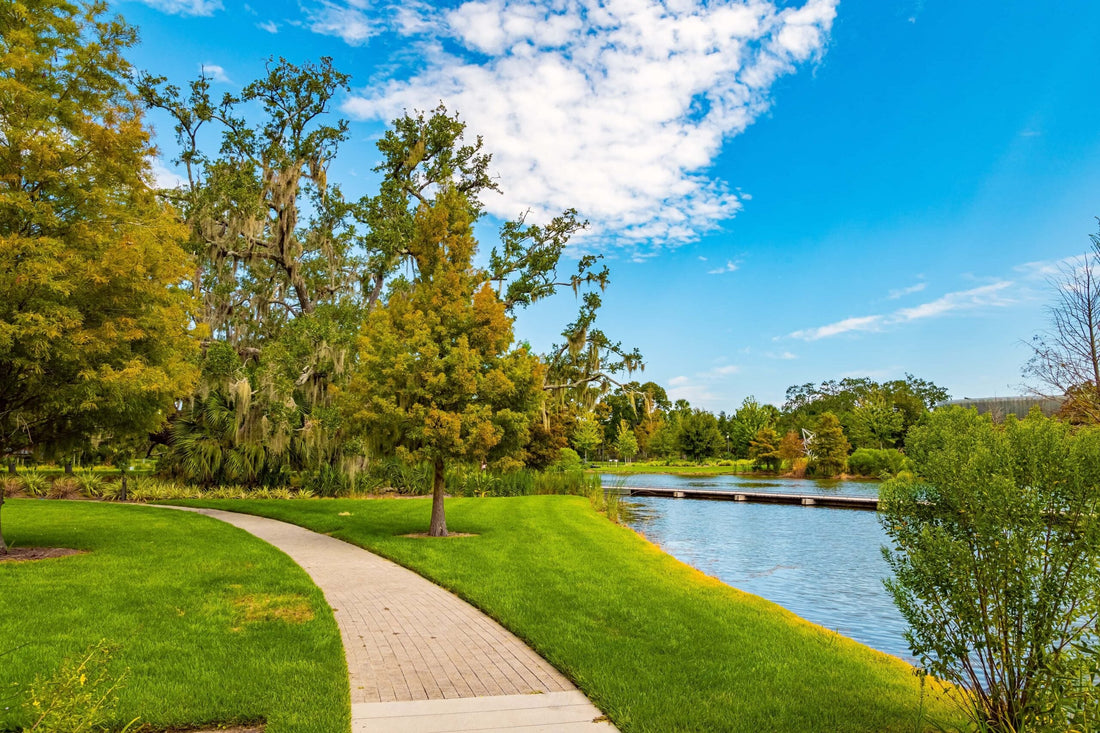 Top Photo Editing Agencies and Companies in Jacksonville, North Carolina