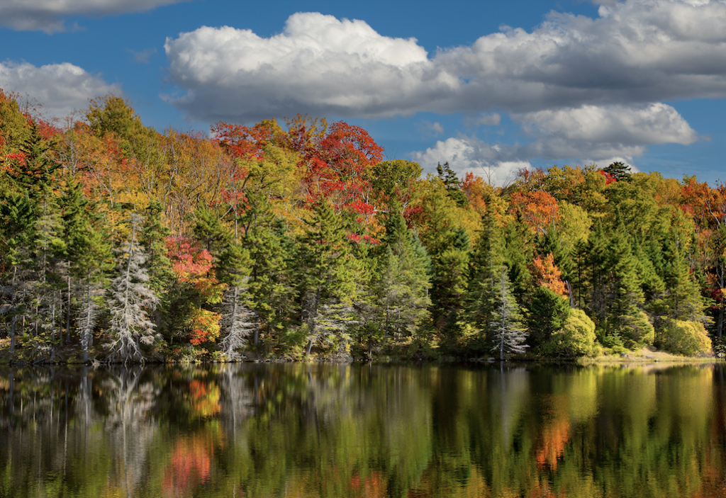 Top or Best Presentation Design Agencies and Companies in Bennington, Vermont