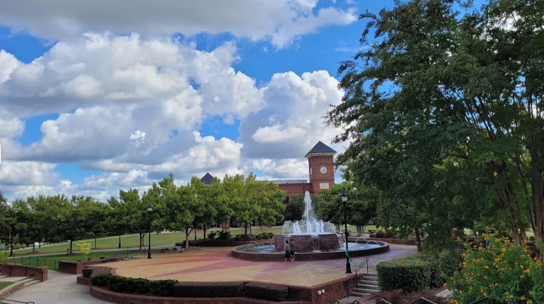 Top or Best Virtual Background Design Agencies and Companies in Greer, South Carolina