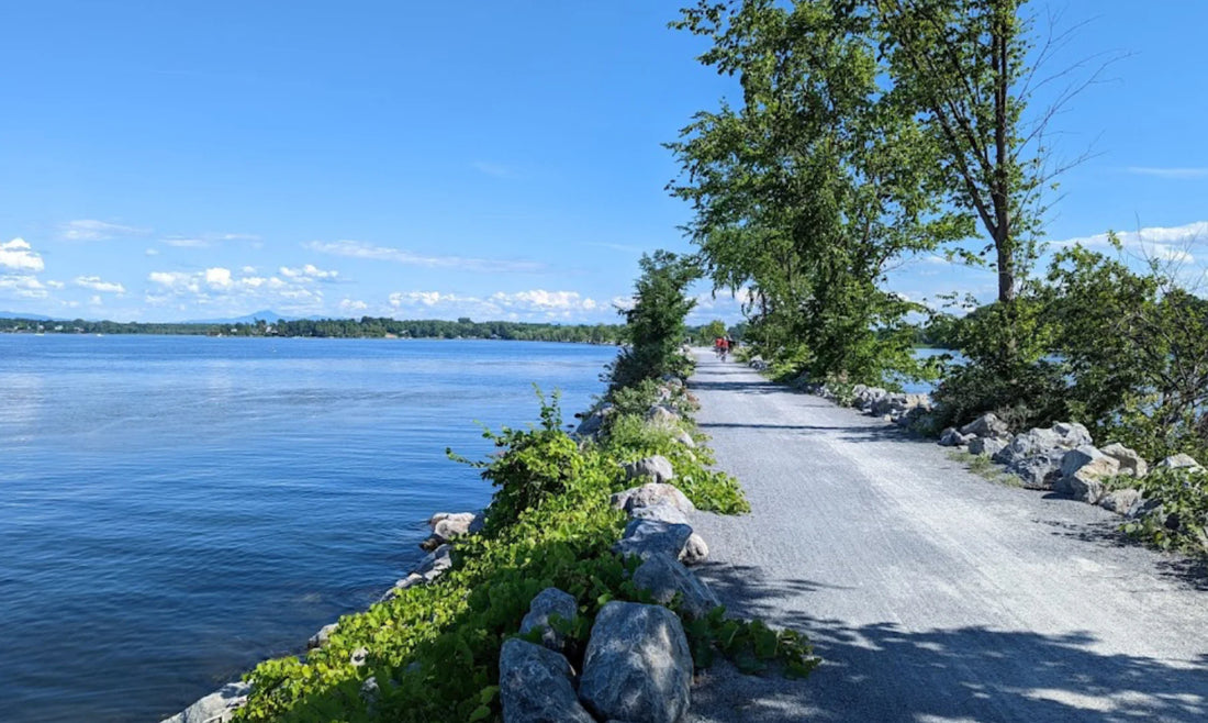 Top or Best Social Media Management Agencies and Companies in Colchester, Vermont