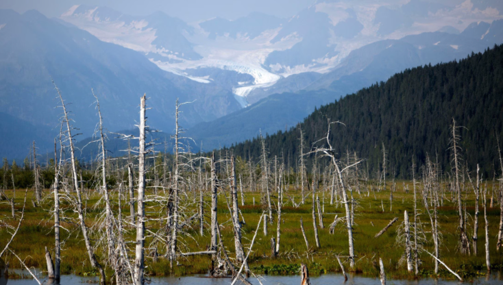 Top or Best Copywriting Agencies and Companies in Kalifornsky, Alaska