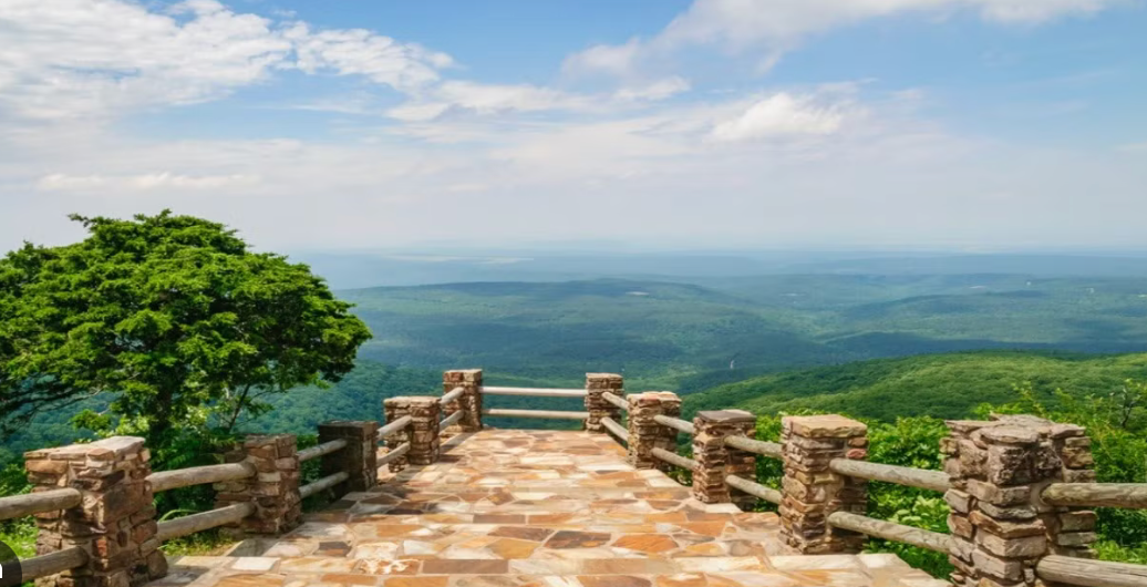 Top or Best Virtual Background Design Agencies and Companies in Texarkana, Arkansas