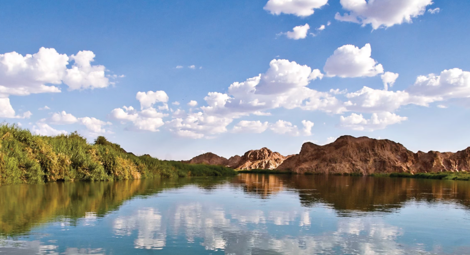 Top or Best Poster Design Agencies and Companies in Yuma, Arizona