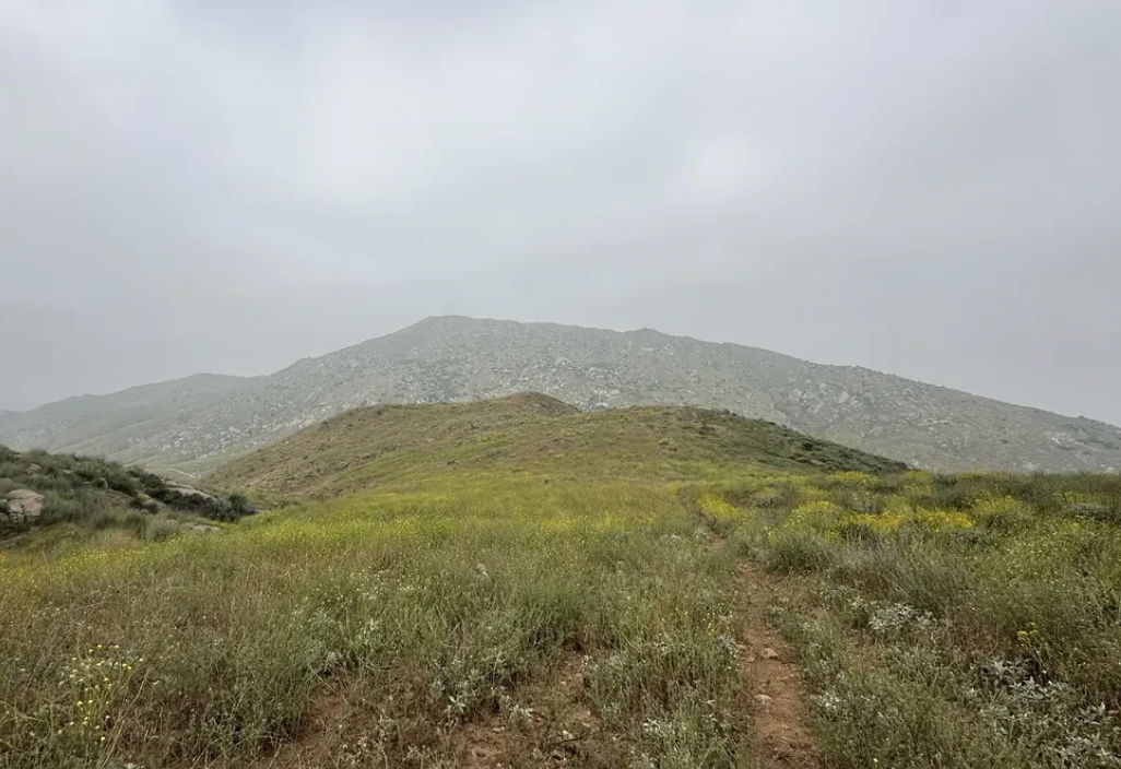 Top or Best Copywriting Agencies and Companies in Fontana, California