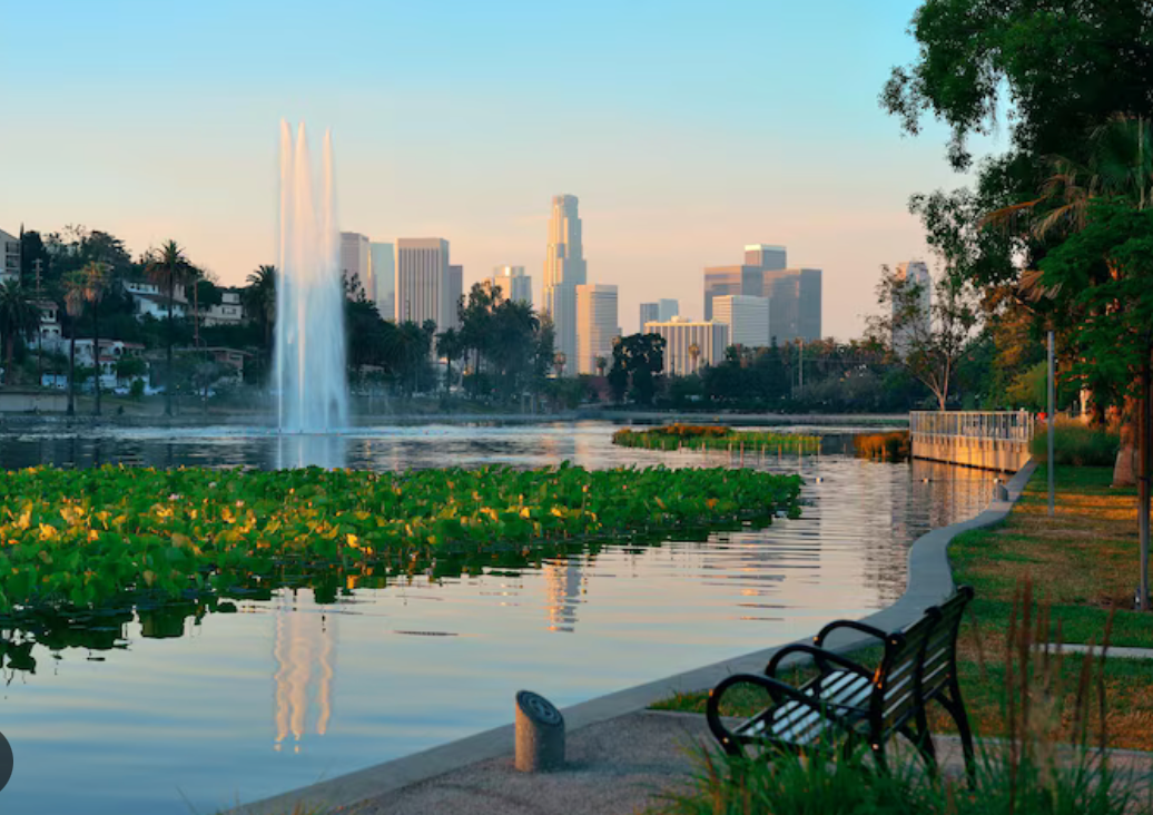 Top or Best Flyer Design Agencies and Companies in Fontana, California