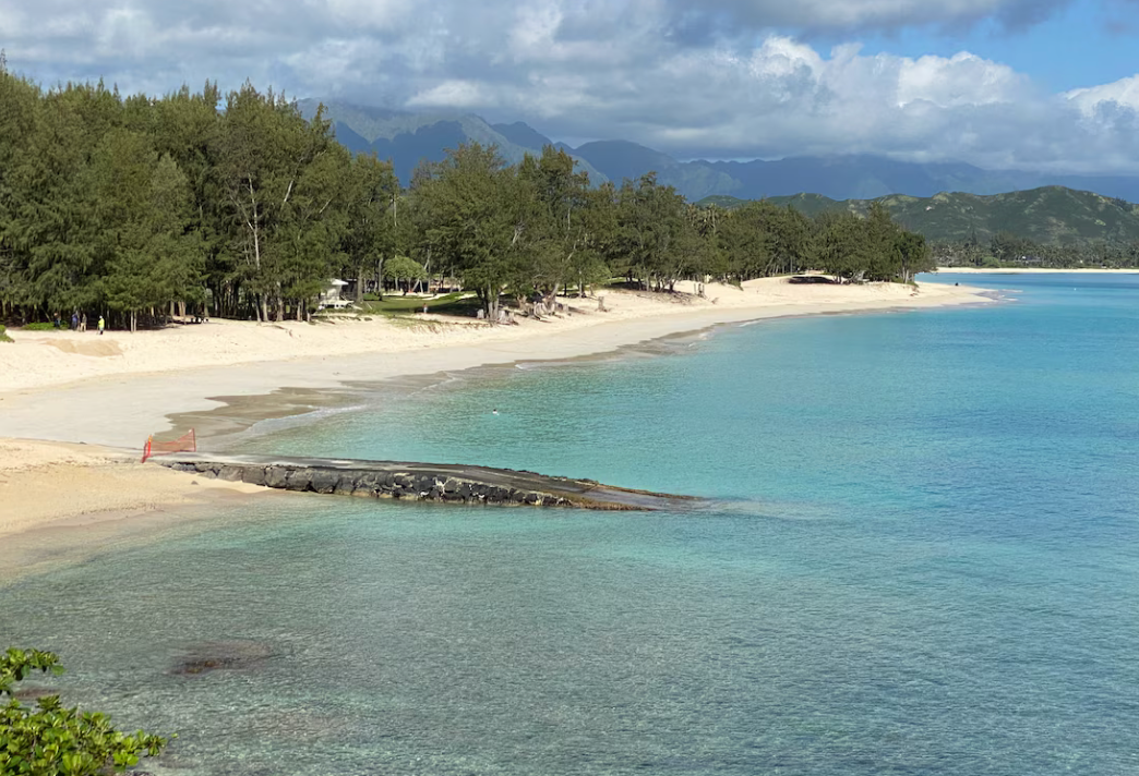 Top or Best Cartoons & Comics Agencies and Companies in Ewa Gentry, Hawaii