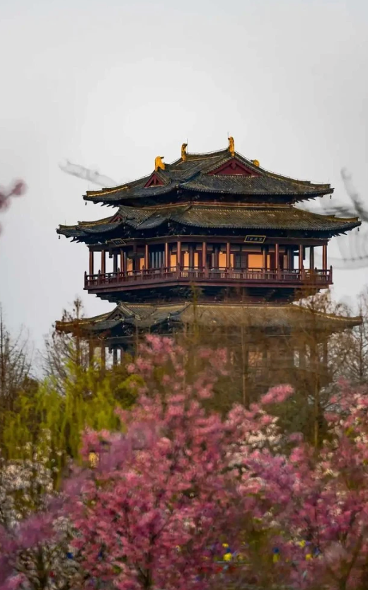 Top or Best Influencer Agencies in Yancheng, China