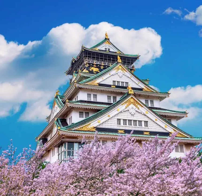 Top or Best Influencer Management Agencies in Osaka, Japan