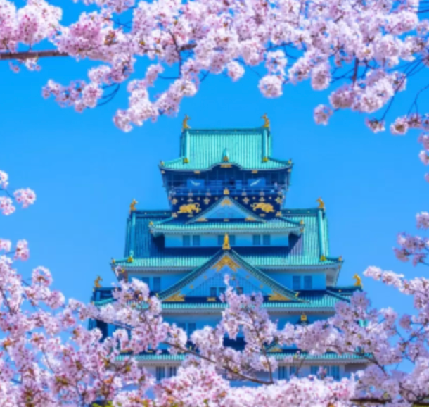 Top or Best Graphic Design Subscription Services in Osaka, Japan