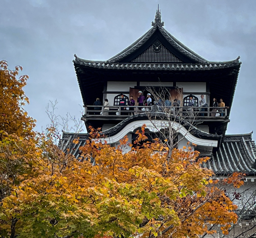 Top or Best Influencer Brand Partnership Agencies in Nagoya, Japan