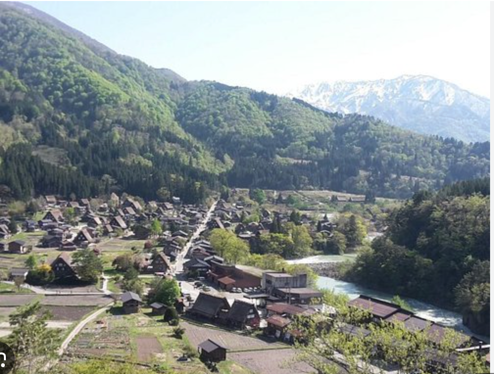 Top or Best Packaging Design Agencies in Nagoya, Japan