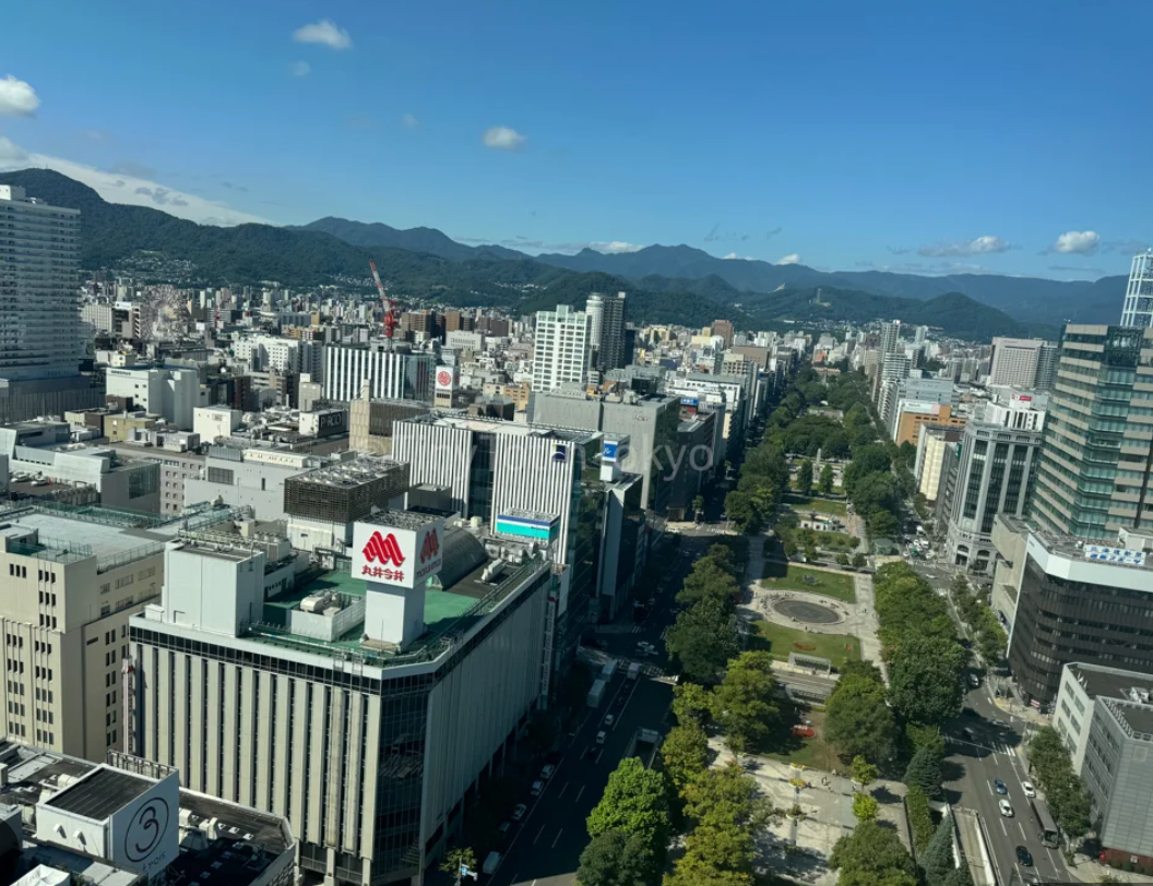 Top or Best Logo Design Agencies in Sapporo, Japan